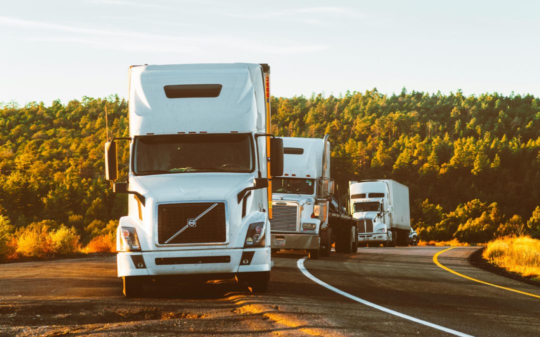 La figura del Gestor de Transporte: Requisitos y acceso al título de transportista 