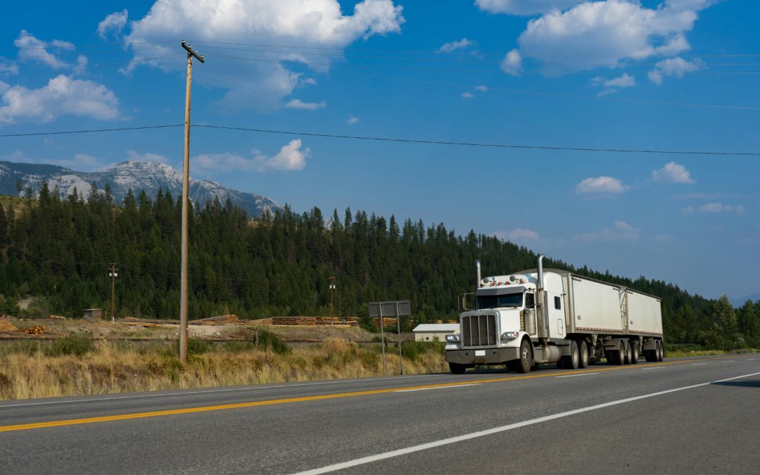 Realizar Transporte de Mercancías sin Tarjeta: Sanciones 